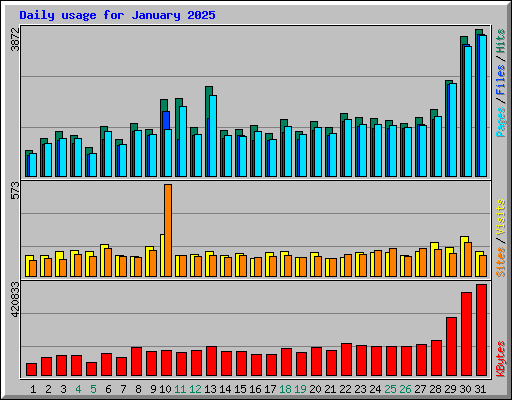 Daily usage for January 2025