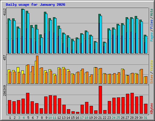 Daily usage for January 2026