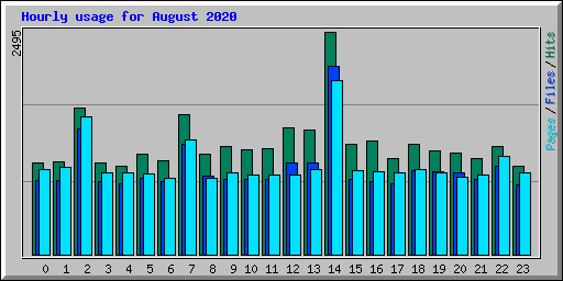 Hourly usage for August 2020