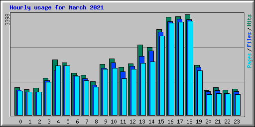 Hourly usage for March 2021