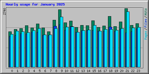 Hourly usage for January 2025