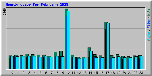 Hourly usage for February 2025