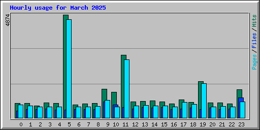 Hourly usage for March 2025