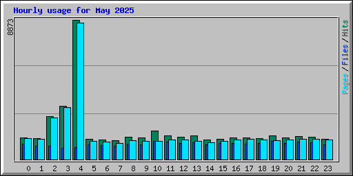 Hourly usage for May 2025