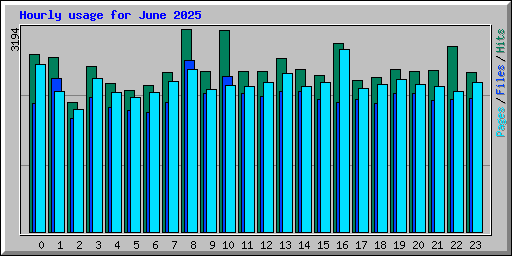 Hourly usage for June 2025