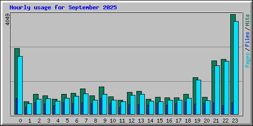 Hourly usage for September 2025
