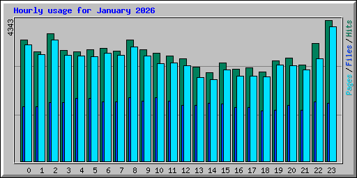 Hourly usage for January 2026