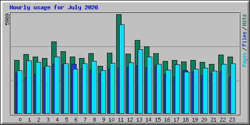 Hourly usage for July 2026