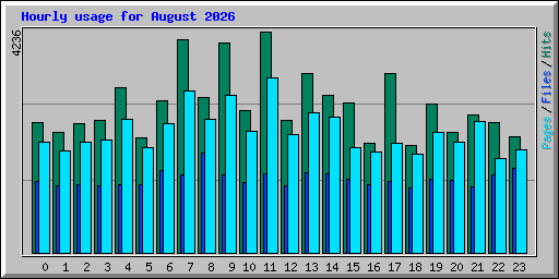 Hourly usage for August 2026